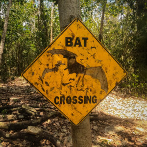 ATV Tours in Cozumel
